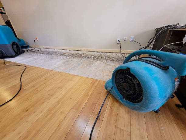 Professional Flood Damage Cleanup technician working in Castro Valley, CA